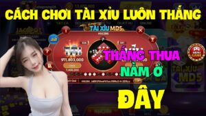 Cách thức chơi tài xỉu online luôn thắng